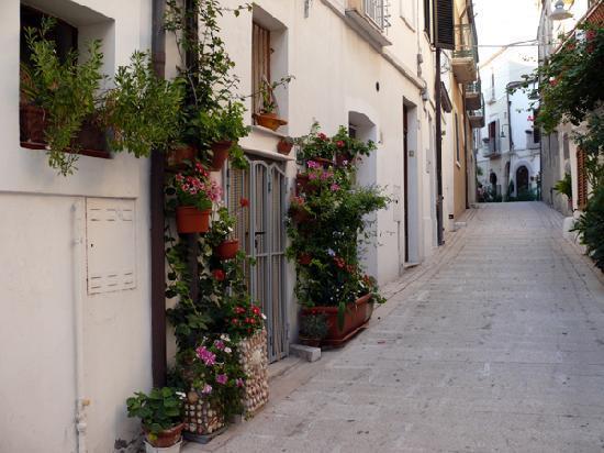 Residenza Borgo Antico Villa Termoli Exterior foto